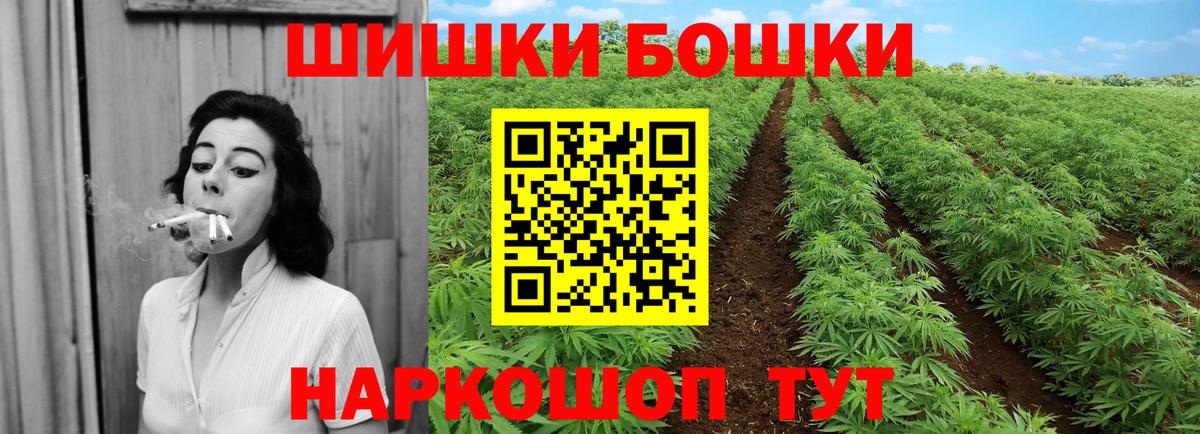 Шишки марихуана планчик Электрогорск