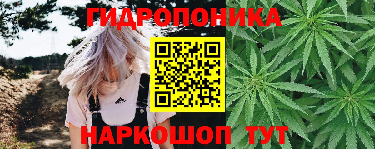 Бошки марихуана OG Kush  Бошки марихуана SATIVA & INDICA  Электрогорск  Канабис семена  Вход с VPN  МАРИХУАНА план 
